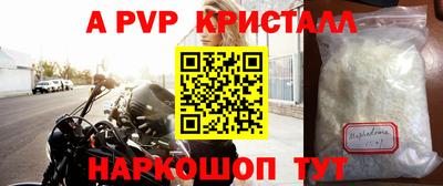 спиды Новозыбков