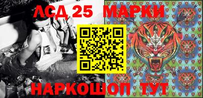 спиды Новозыбков