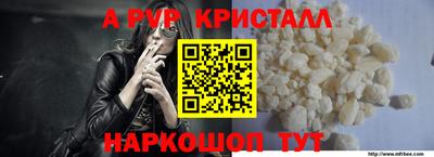спиды Новозыбков